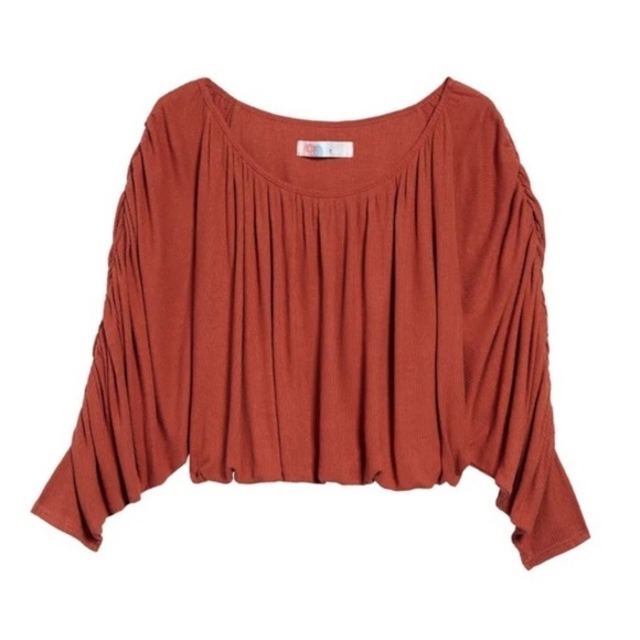 NWT Free People Beach Pleated You’re the One Crop Long Sleeve Small - Picture 4 of 4
